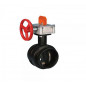 Victaulic – FireLock® High Pressure Butterfly Valve, Supervised Open – Series 765